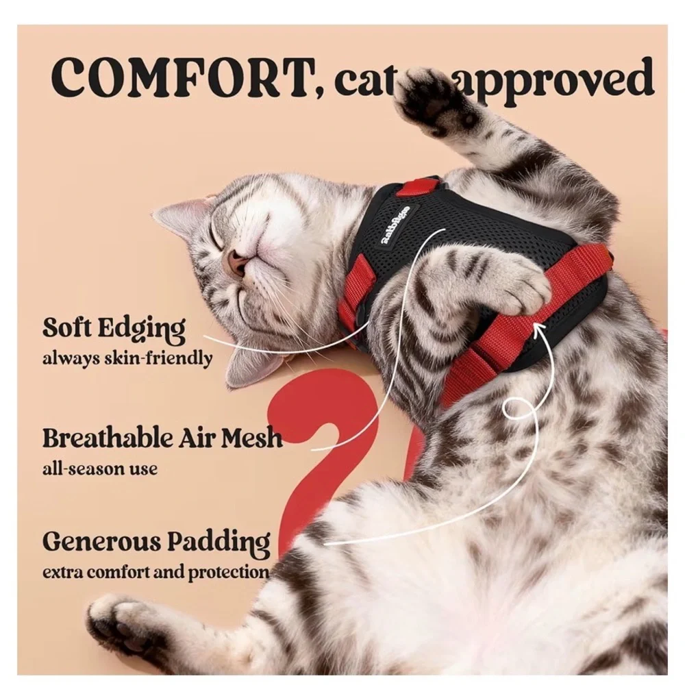 NWT: Cat Harness